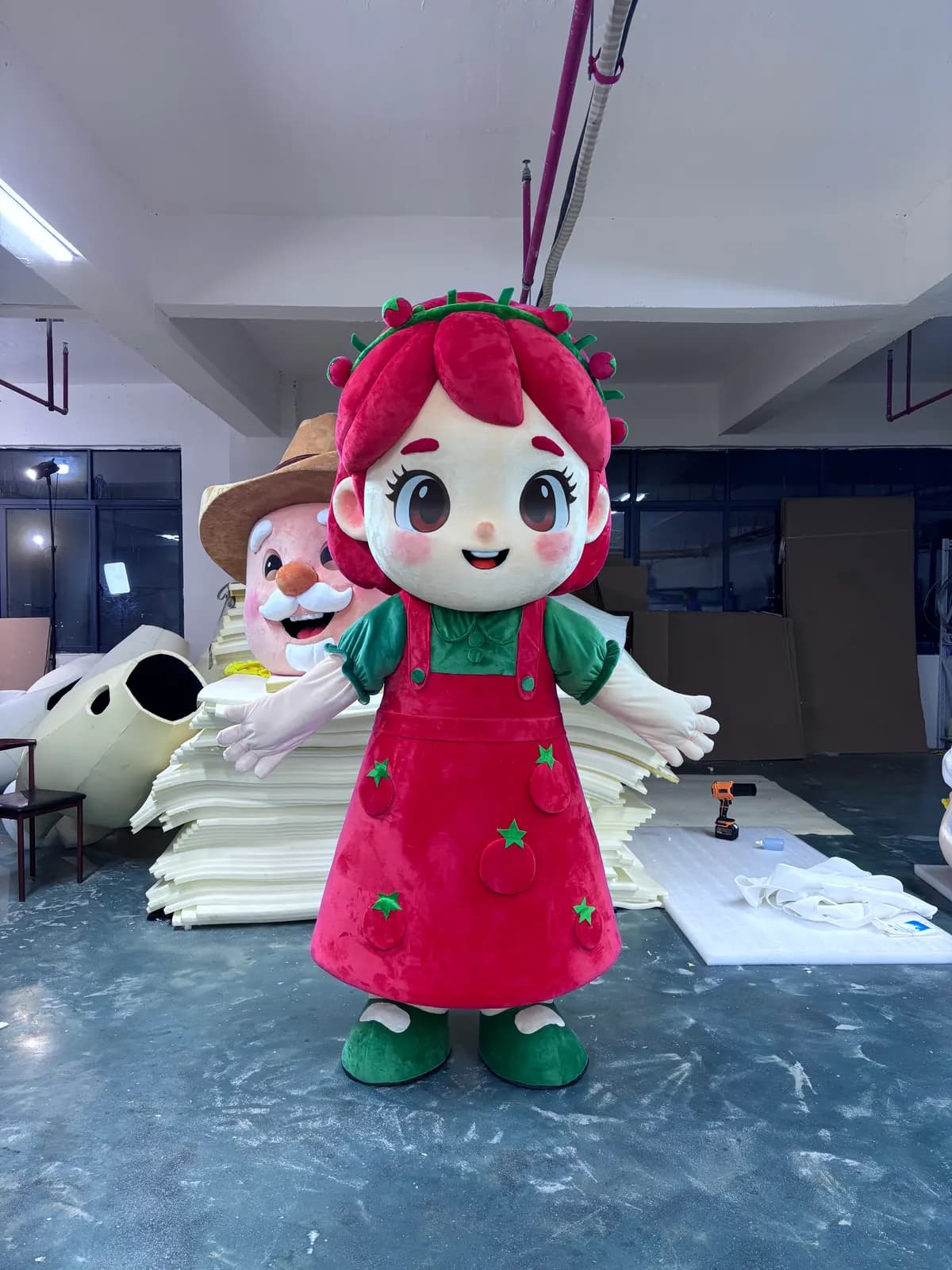 Cartoon & Character Mascots