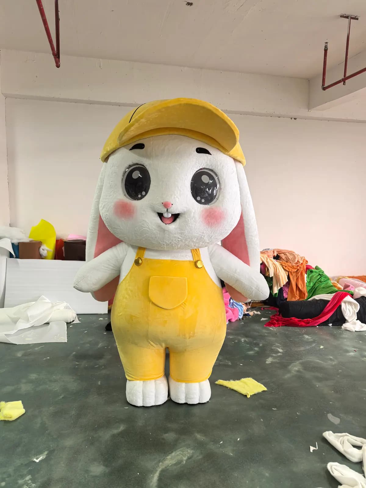 Theme Park & Resort Mascots