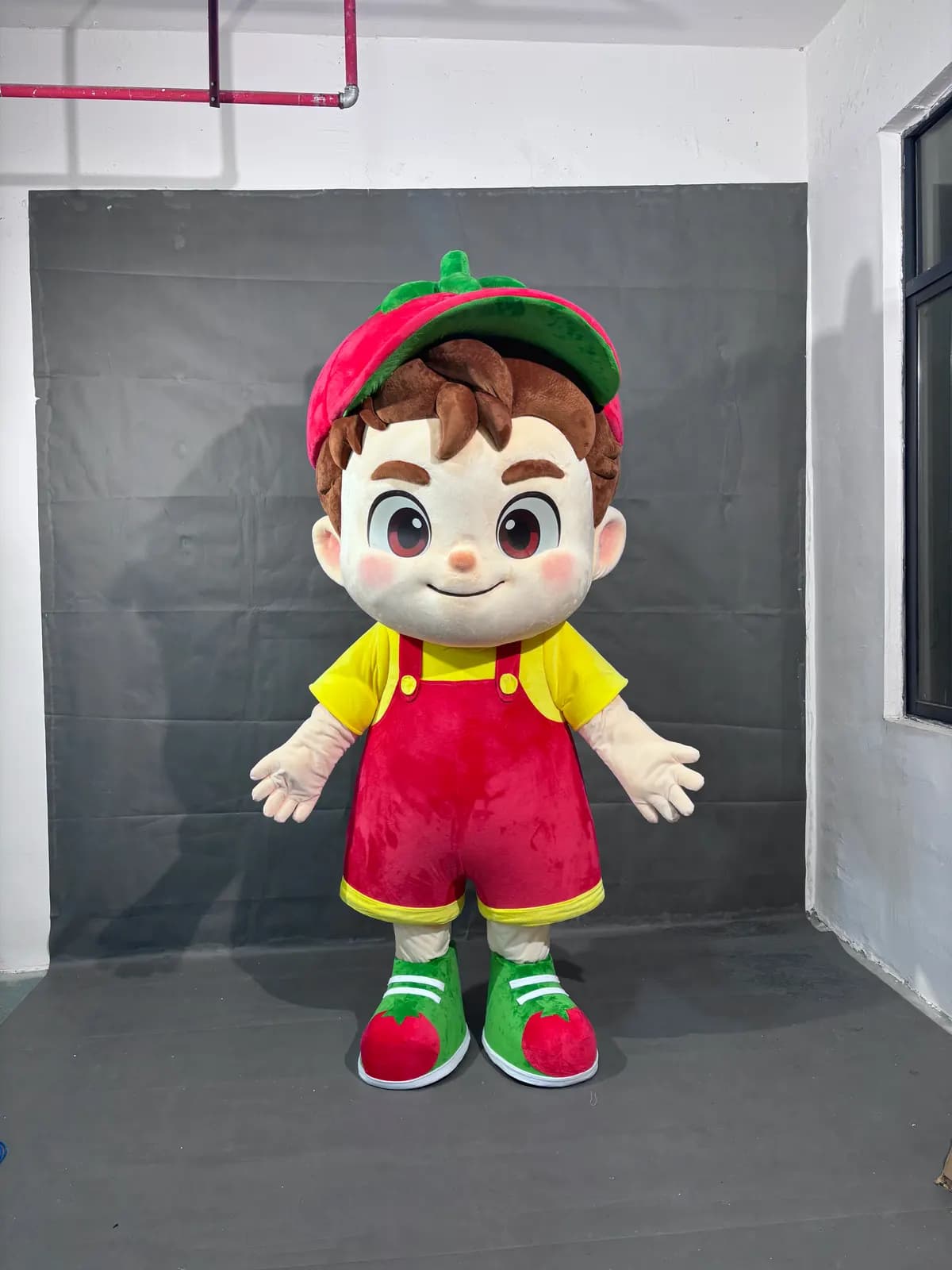 Strawberry Boy mascot costume made by Mascot Costume Factory, view 1 of 6